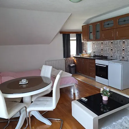 Sokolovic Διαμέρισμα